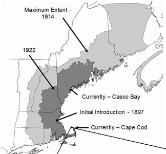 Historical and current distribution of browntail moth in North America