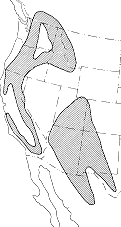 Distribution (in western North America) of the western pine beetle