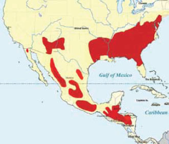 Distribution of southern pine beetle