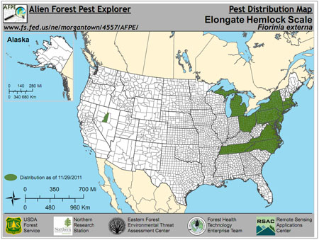 Map of North American distribution of elongate hemlock scale