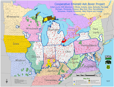 Distribution in 2010 of emerald ash borer