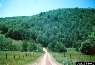 Defoliation of hardwoods by fall cankerworms