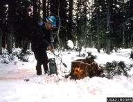 Burning of stumps after felling infested trees is intended to limit spruce beetle outbreaks