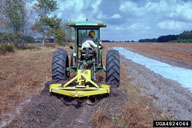 Scalping is the use of machinery to remove a thin layer of thatch and top soil before planting a new block of pine seedlings