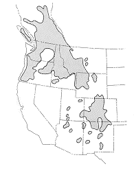 Distribution in western North America of the western spruce budworm