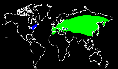 World distribution of European gypsy moth