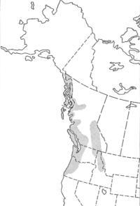 North American distribution of hemlock sawfly