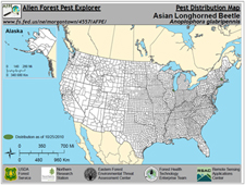 Green areas indicate current infestations of Asian longhorned beetle in the United States