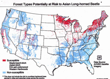 Red indicates potential areas at risk of becoming infested