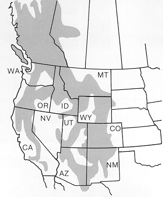 Distribution of mountain pine beetle in North America