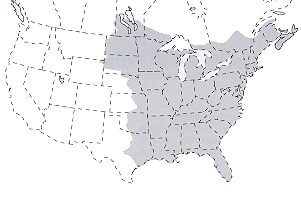Probable range of the twolined chestnut borer, based on the combined distribution of its oak host species