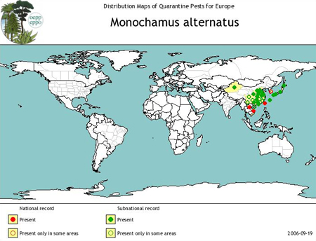 World distribution of Japanese pine sawyer